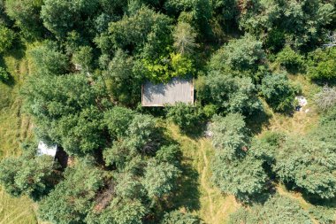 Büyüleyici bir çam ormanı. Görkemli, gür, gür yeşil manzaralı uzun ağaçlar. Huzurlu güzellik ve sükunet ışık ve gölgenin etkileşimiyle yakalanır. Çam ağacının toprak kokusu huzur verici ve davetkar bir atmosfer yaratır.