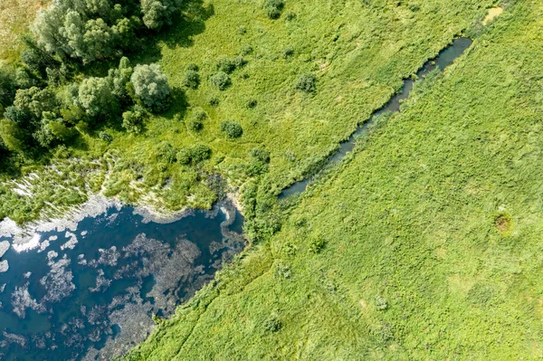 Захваченное Дроном Фото Безмятежное Озеро Окружении Зеленой Травы Ясная Солнечная — стоковое фото