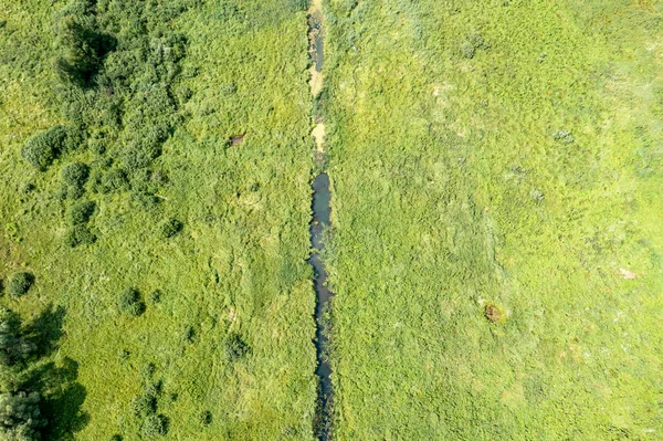 Lugn Ström Rinner Genom Pulserande Grönt Gräs Fånga Lugnt Landskap — Stockfoto