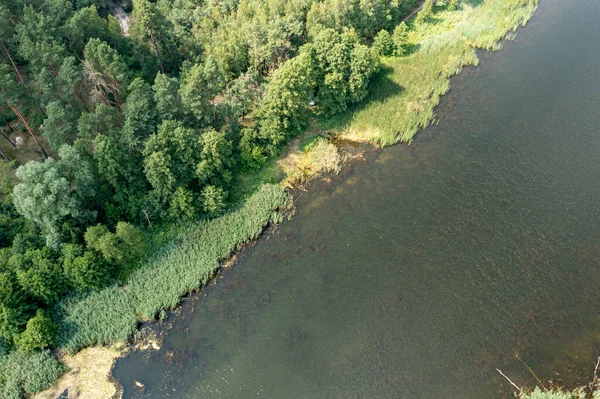 Drone 'un yakaladığı fotoğraf: Güneşli yaz gökyüzünün altında ağaçlarla göz kamaştırıcı göl manzarası. Sakin güzellik mükemmel bir yaz gününü özetliyor..