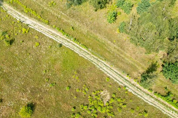 Uzun Otların Arasında Dolambaçlı Kır Yolu Olan Kırsal Bir Yer — Stok fotoğraf