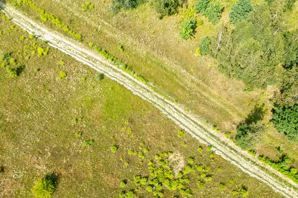Αγροτική Σκηνή Εκκαθάριση Επαρχιακό Δρόμο Ανάμεσα Ψηλό Γρασίδι Ειρηνική Ατμόσφαιρα — Φωτογραφία Αρχείου