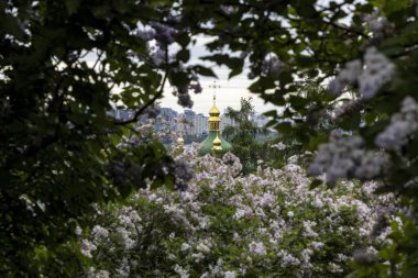 İlkbahar leylak çiçeklerinin çerçevelediği Altın Ortodoks Kubbesi