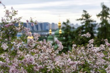 Leylak ön planda çiçek açtı İlkbaharda Ortodoks kubbeler ve şehir silueti