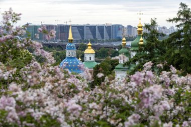 Ortodoks kubbeleri ve Kyiv ufuk çizgisine bakan leylak çiçekleri
