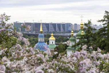 Kyiv manastırı kubbeleri ve ufuk çizgisi bahar çiçekleri tarafından çerçevelenmiştir.