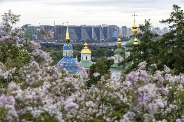 Kyiv siluetine karşı tarihi Ortodoks kubbeleri ve leylak çiçekleri