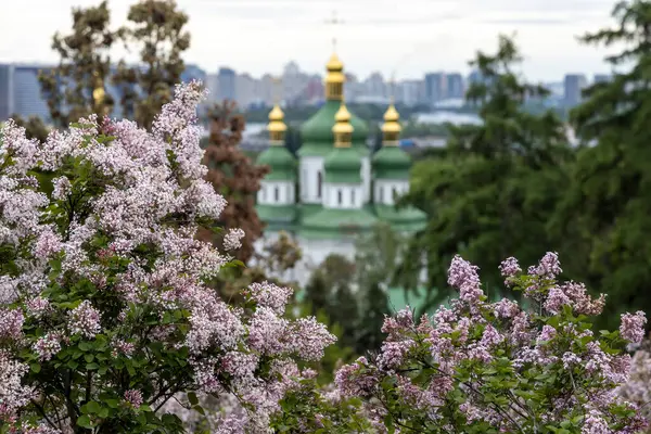 Yeşil çerçeveli leylak çiçekleri Ortodoks kilisesi Kyiv