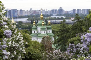 Bahar leylak bahçesi, yeşil kubbeli kilise ve Kyiv silueti.