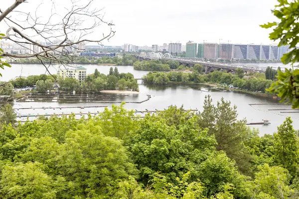 Köprü ve adalı yeşil şehir nehir manzarası