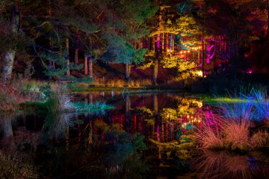Illuminations around the lake at Blue Pool in Dorset