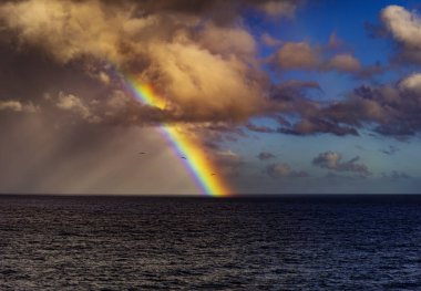 St. Kitts yakınlarındaki Karayip Denizi üzerinde üç kuş uçuyor.