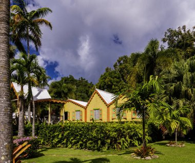 Timothy 's Hill, St. Kitts' te görüldüğü gibi, güneşten sırılsıklam olmuş ve rüzgar tarafından süpürülmüş...