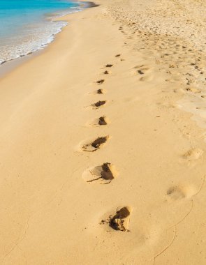 Güzel, yumuşak kumlu sahilde Barbados 'ta masmavi bir okyanusun yanında derin ayak izleri.