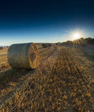Düşük açılı güneş ışığı Kimmeridge 'e tepeden bakan tarlalarda saman mermilerini aydınlatıyor
