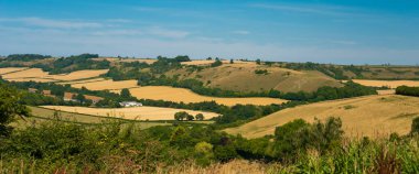 Cerne Abbas Devi, Britanya 'daki en büyük tepe figürüdür. Tebeşir kayasından oyulmuş dev, 180 feet yüksekliğinde ve 120 feet uzunluğunda devasa bir topuzlu sopa taşıyor. Kavrulmuş çayırların kontrastı aga