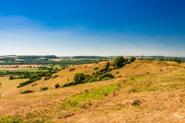 Dorset 'teki Blackmore Vadisi' nde güneşli çayırlarda sıcak bir yaz günü