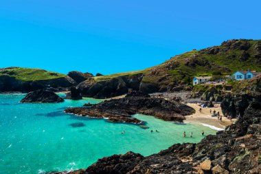 Idyllic Turquoise, Cornwall, Kertenkele Yarımadası yakınlarındaki Kynance Koyu ve Plajı 'nı renklendirdi.