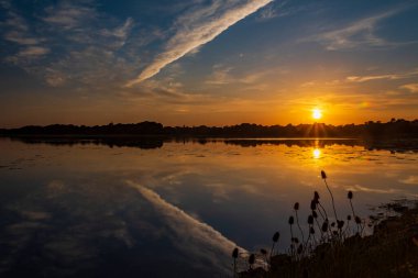 Delikler Körfezi ve Pergins Adası 'nda gün batımında çay başları, Poole Limanı