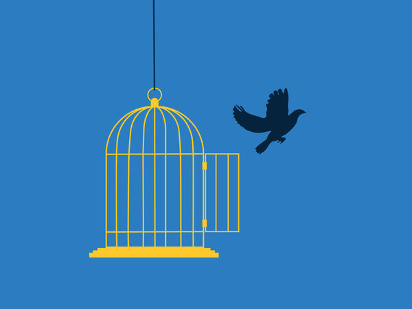 bird fell out of the cage. The concept of freedom and emancipation. vector illustration