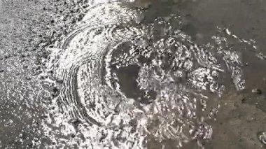 Su ihtiyacına göre damlayan suya ve drenaja odaklan.