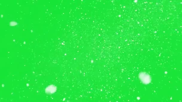 Vídeo Vista Queda Flocos Neve Uma Tempestade Fundo Verde — Vídeo de Stock
