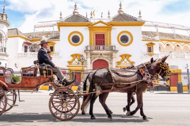 SEVILLE, SPAIN - May 04, 2022 : Horses carriage in front of the Maestranza bullring in Seville.