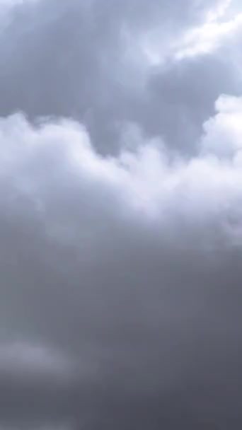 Blick Auf Regen Der Sturm Fällt Vertikales Video — Stockvideo