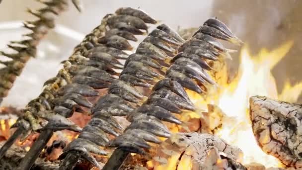 Sardinky Ryby Skewer Oheň Grilované Hořícím Palivem — Stock video