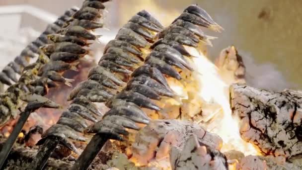 沙丁鱼和章鱼被烤在海滩外面的海滩上 — 图库视频影像