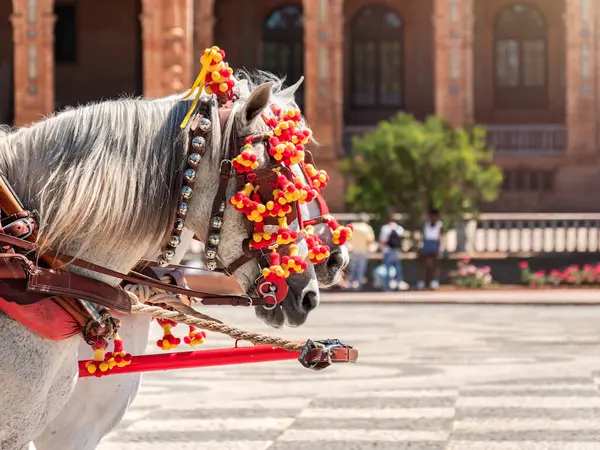 Two white horses adorned with vibrant red and yellow decorations, participating in a traditional festival.