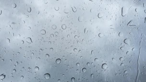 Krople Deszczu Przylegają Czystej Powierzchni Tworząc Wzór Koralików Wodnych — Wideo stockowe