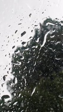 Yağmur damlaları temiz bir yüzeye tutunarak su boncukları deseni oluşturuyor.