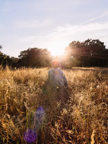 Serene Meadow 'da Günbatımının tadını çıkaran Çocuk