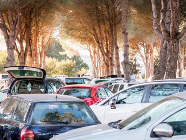 Ağaçların altında araçlar olan kalabalık bir otopark..