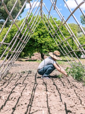 Hasır şapkalı bir insan bahçedeki bitkilerle çalışıyor..