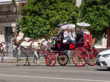 Seville, İspanya - 17 Nisan 2024: Sevilla, Endülüs İspanya 'da at arabası