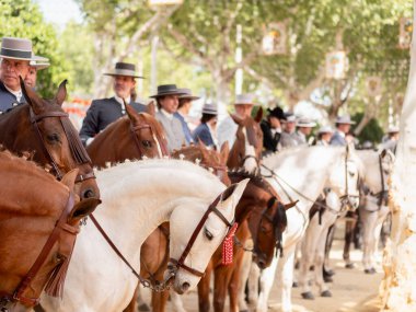 Seville, İspanya - 17 Nisan 2024: Arka planda şenlik dekorasyonları bulunan bir açık hava kültürel etkinliğinde geleneksel at sırtında İspanyol biniciler grubu.