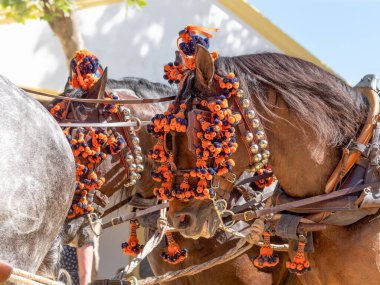 Jerez Fair 'de süslü atlar, canlı dekorasyonlar sergilemek, olayı canlı ve renkli hale getirmek..