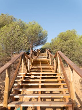 Tahta merdiven, güneşli bir günde açık mavi gökyüzünün altında yemyeşil bir ormanda yükseliyor.