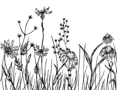 Çiçek El Çizimi Arka plan, Yabani Çiçekler