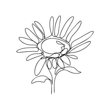 Bir Çizgi Çizimi, Tek Sürekli Çizgi Çizimi Çiçek