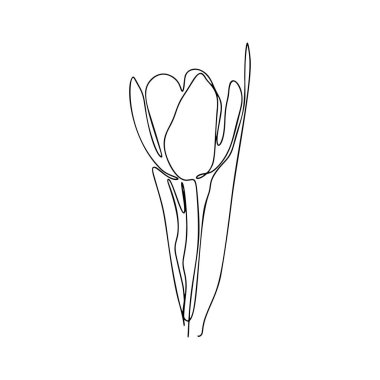 Bir Çizgi Çizimi, Tek Sürekli Çizgi Çizimi Çiçek