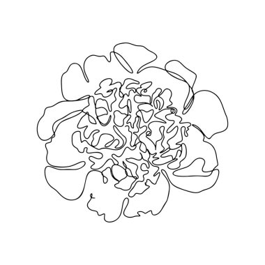 Bir Çizgi Çizimi, Tek Sürekli Çizgi Çizimi Çiçek