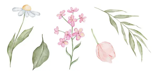 Suluboya elementlerin çiçek koleksiyonu. Beyaz arka planda izole edilmiş el çizimi çiçek çizimleri