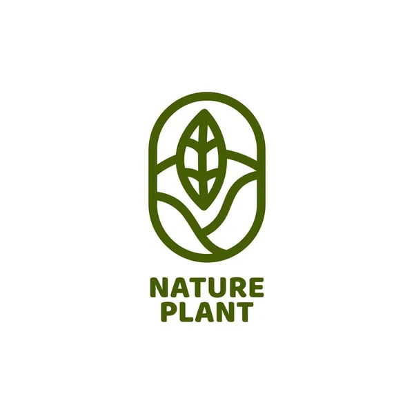 Tohum Bitkisi Doğası Oval Logo Konsept Tasarım Illüstrasyonu — Stok Vektör