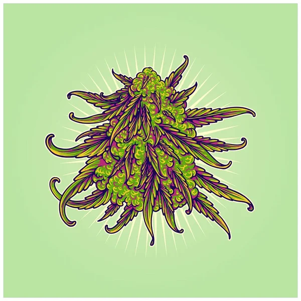 Cannabis Indica Στέλεχος Λουλούδι Bud Βοτανική Εικονογράφηση Διάνυσμα Για Λογότυπο — Διανυσματικό Αρχείο