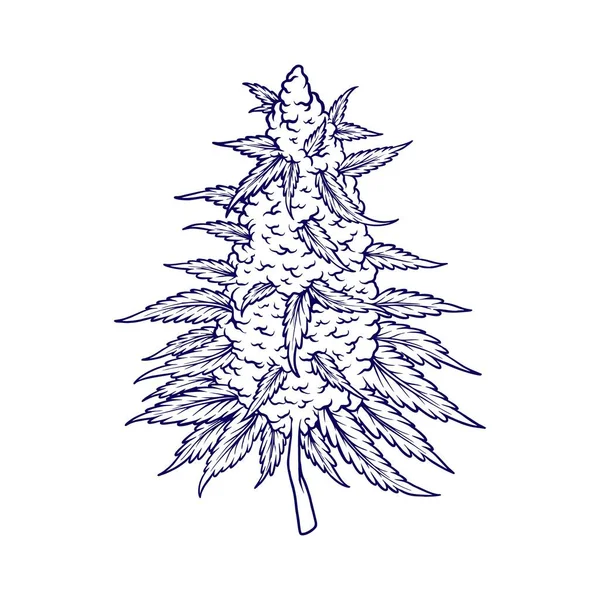 Unkrautknospe Blatt Cannabis Heilpflanze Monochrome Vektorillustrationen Für Ihre Arbeit Logo — Stockvektor