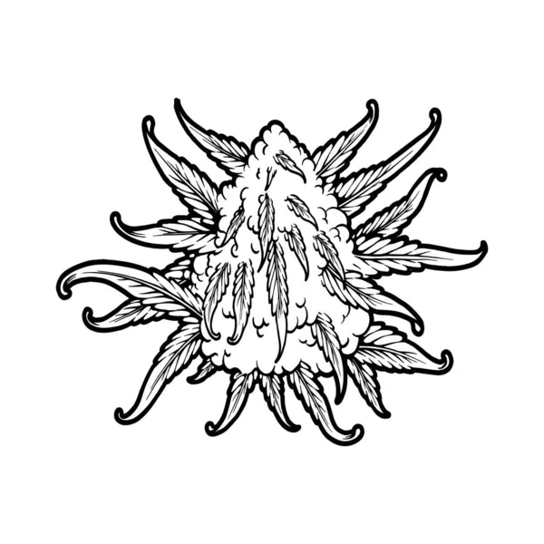 Unkrautknospen Botanische Pflanze Logo Illustrationen Monochrom Vektor Illustrationen Für Ihre — Stockvektor