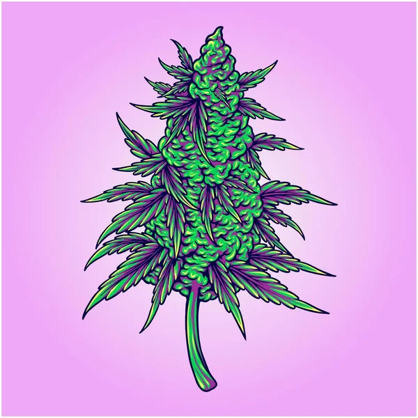 Cannabis Indica Botani Kecantikan Bunga Bud Vektor Ilustrasi Untuk Logo - Stok Vektor